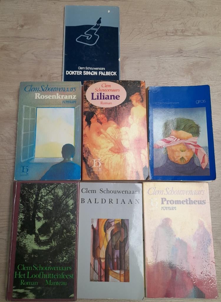 Clem Schouwenaars, Boeken, Ophalen of Verzenden, Zo goed als nieuw