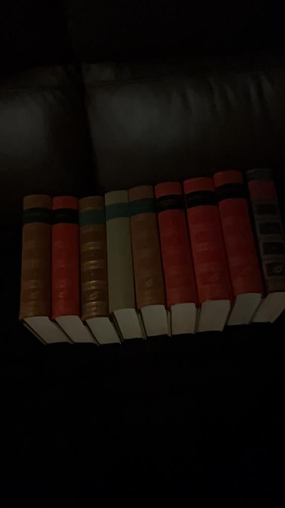 PANTHEON DER NOBELPRIJSWINNAARS LITERATUUR, Boeken, Gedichten en Poëzie, Zo goed als nieuw, Ophalen of Verzenden