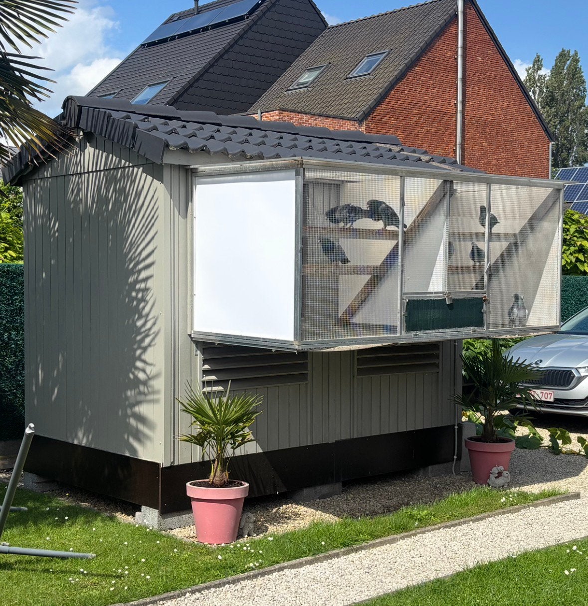 Prachtig duivenhok in meranti