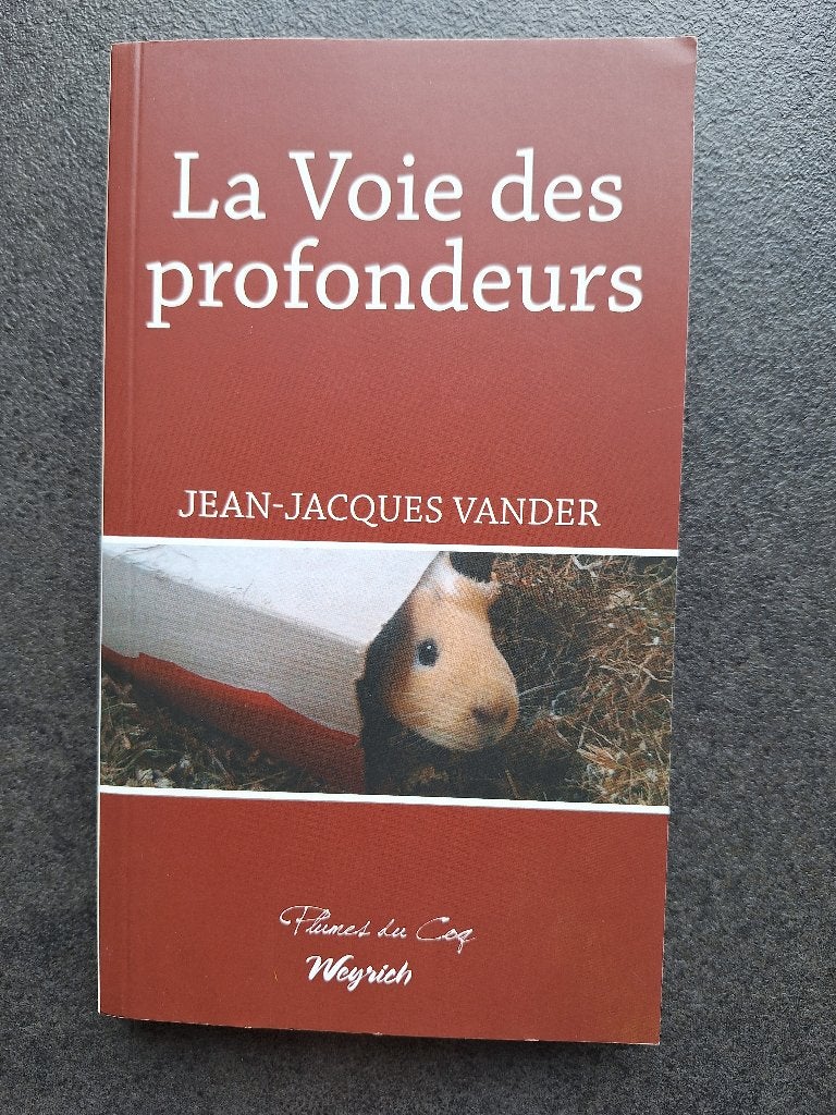 La voie des profondeurs - Jean-Jacques Vander, Neuf, Enlèvement, Jean-Jacques Vander, Belgique