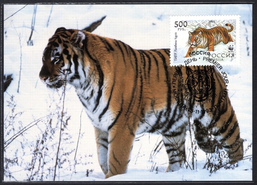 RUSLAND Yt. 6032 FDC WWF 1993, Postzegels en Munten, Verzenden, Overige landen, Gestempeld