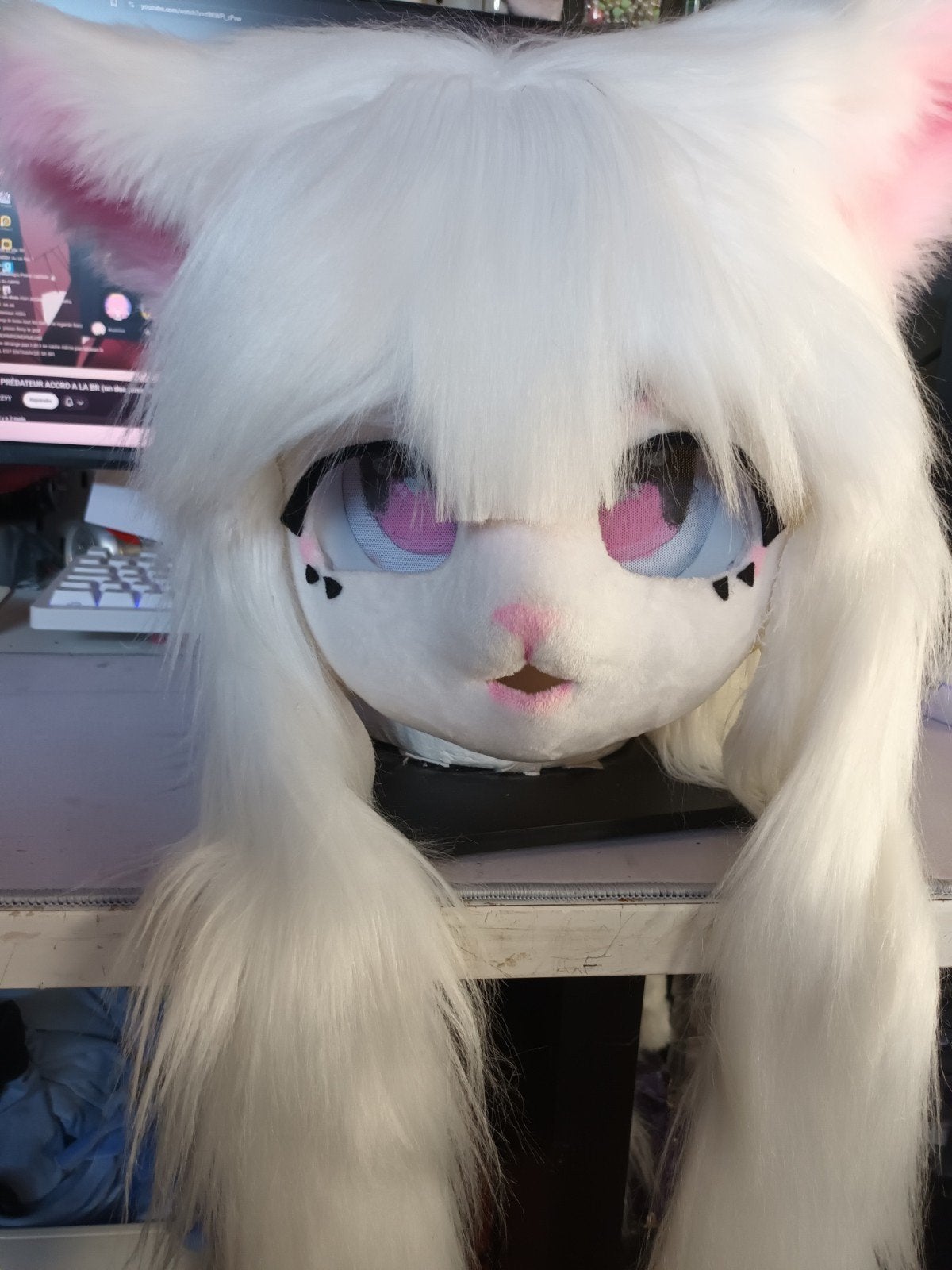 Jolie fursuit à vendre, Antiquités & Art, Enlèvement