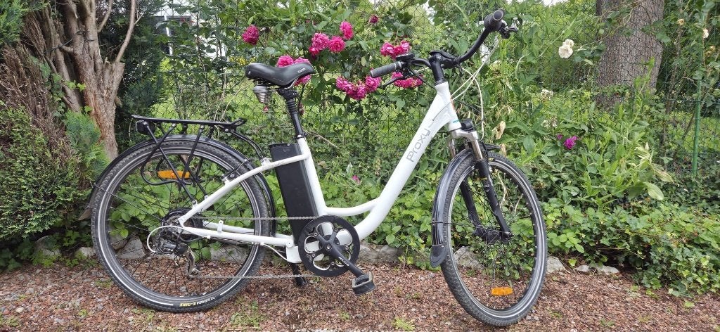 Vélo électrique Probike Smoothie, Vélos & Vélomoteurs, Vélos électriques, Utilisé, Autres marques, Enlèvement