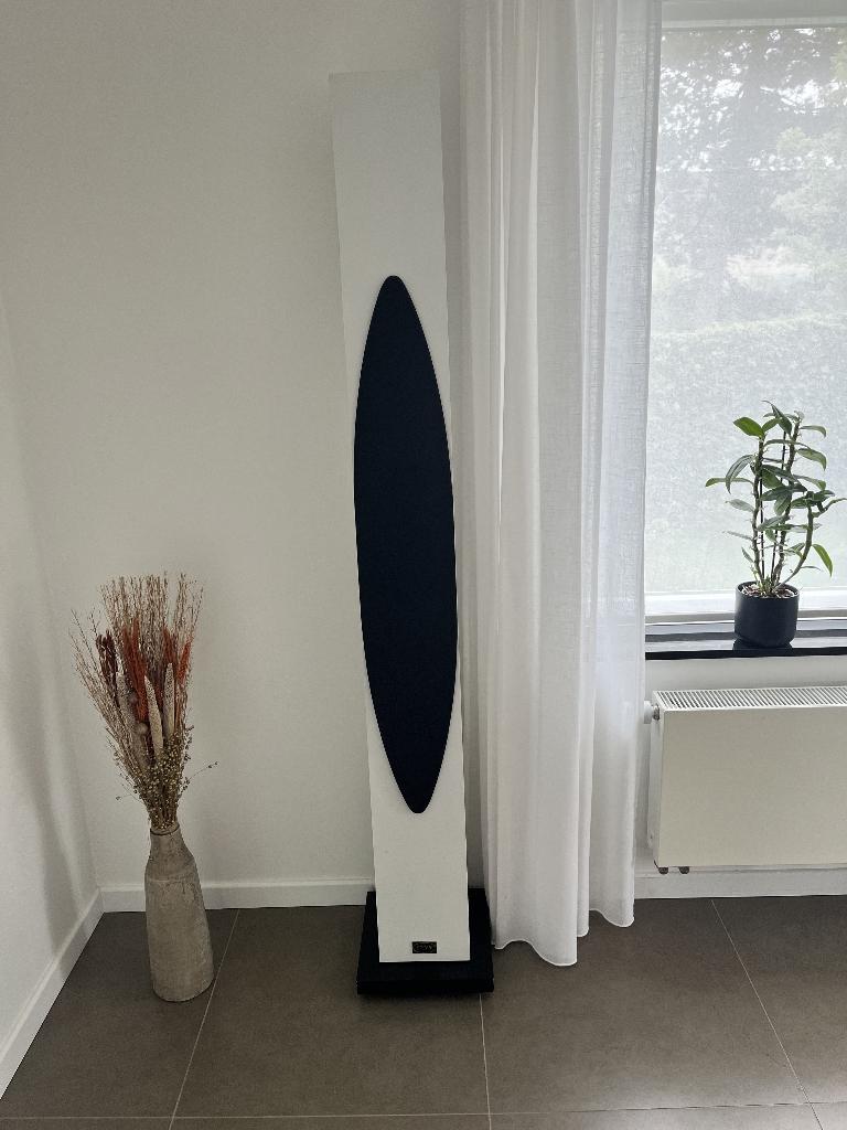 Luidsprekerboxen Synn + versterker, Gebruikt, 60 tot 120 watt, Front, Rear of Stereo speakers, Ophalen
