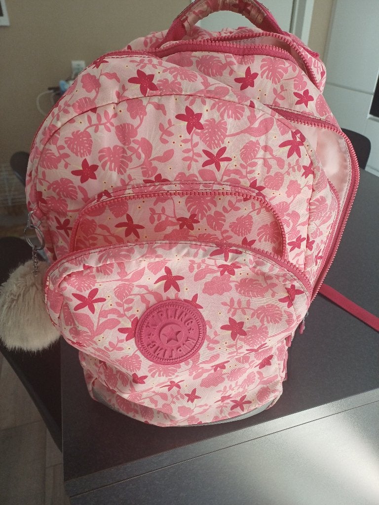 Kipling boekentas, Ophalen, Gebruikt, Rugtas