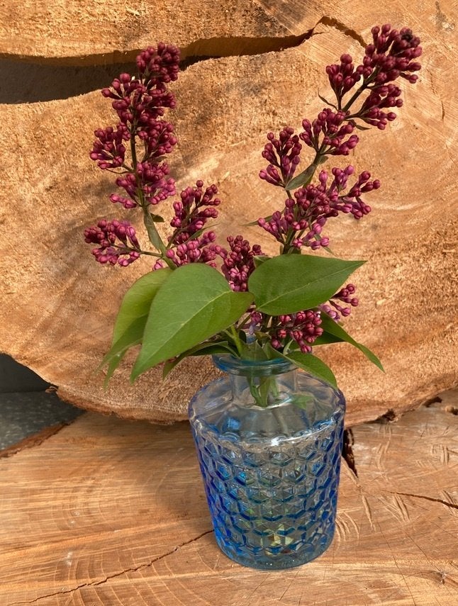FLESJE VAASJES BLAUW HOOG 10 CM NIEUW, Maison & Meubles, Accessoires pour la Maison | Vases, Neuf, Enlèvement ou Envoi, 10 cm