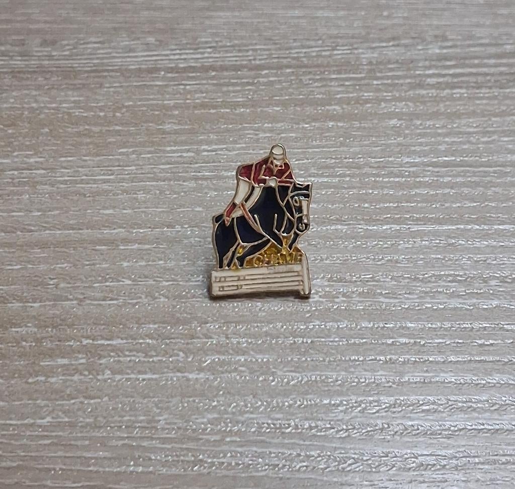 PIN - CHAMP - JUMPING - PAARDENSPORT - PAARD - CHEVAL, Envoi, Utilisé, Sport, Insigne ou Pin's