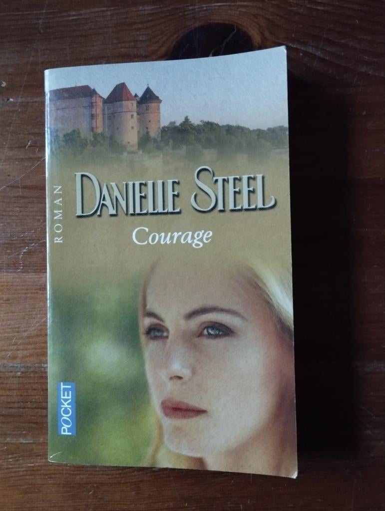 Danielle Steel Courage, Enlèvement ou Envoi