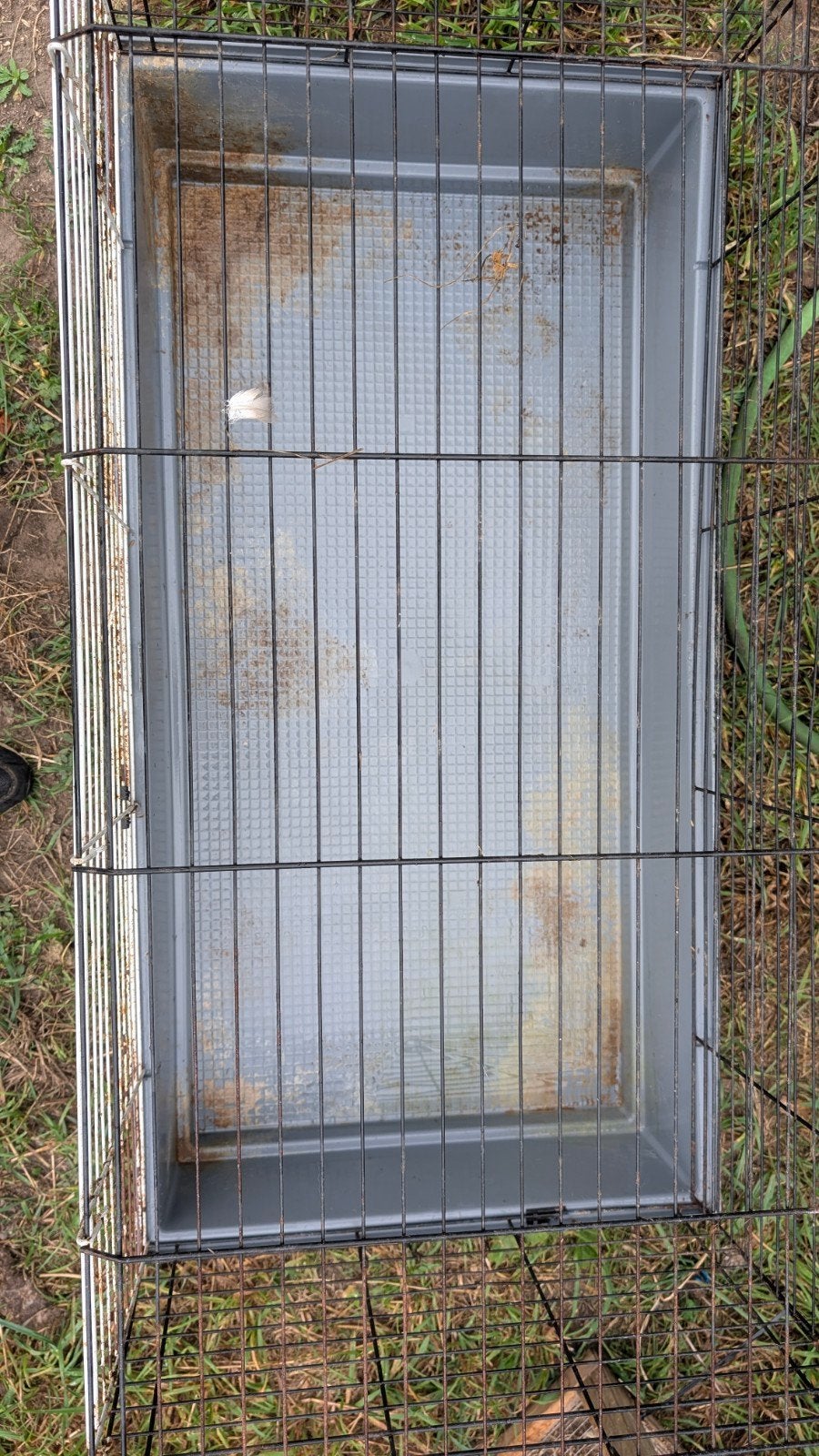 cage pour lapin, Enlèvement