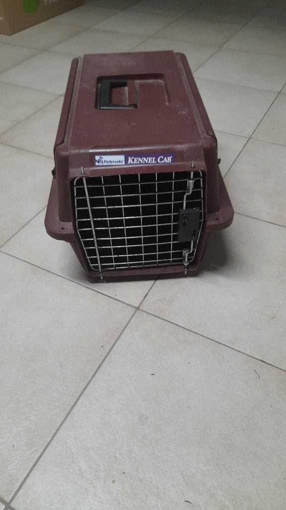 Kattentransport boks, Ophalen, Gebruikt