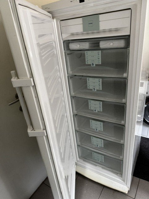 Armoire congélateur LIEBHERR GNP2976 -261L, Electroménager, Réfrigérateurs & Frigos, Classe énergétique A ou plus économe, 160 cm ou plus