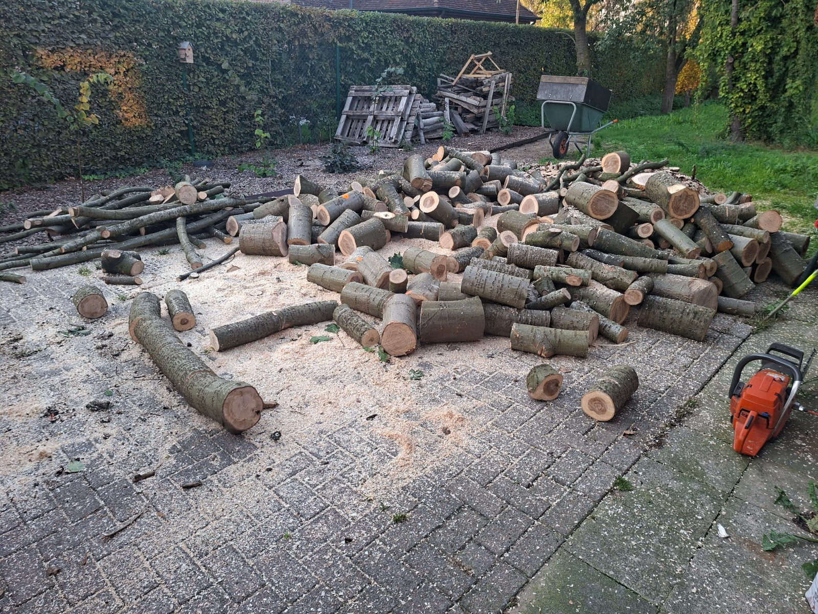 brandhout eik, Tuin en Terras, Ophalen of Verzenden, Eikenhout