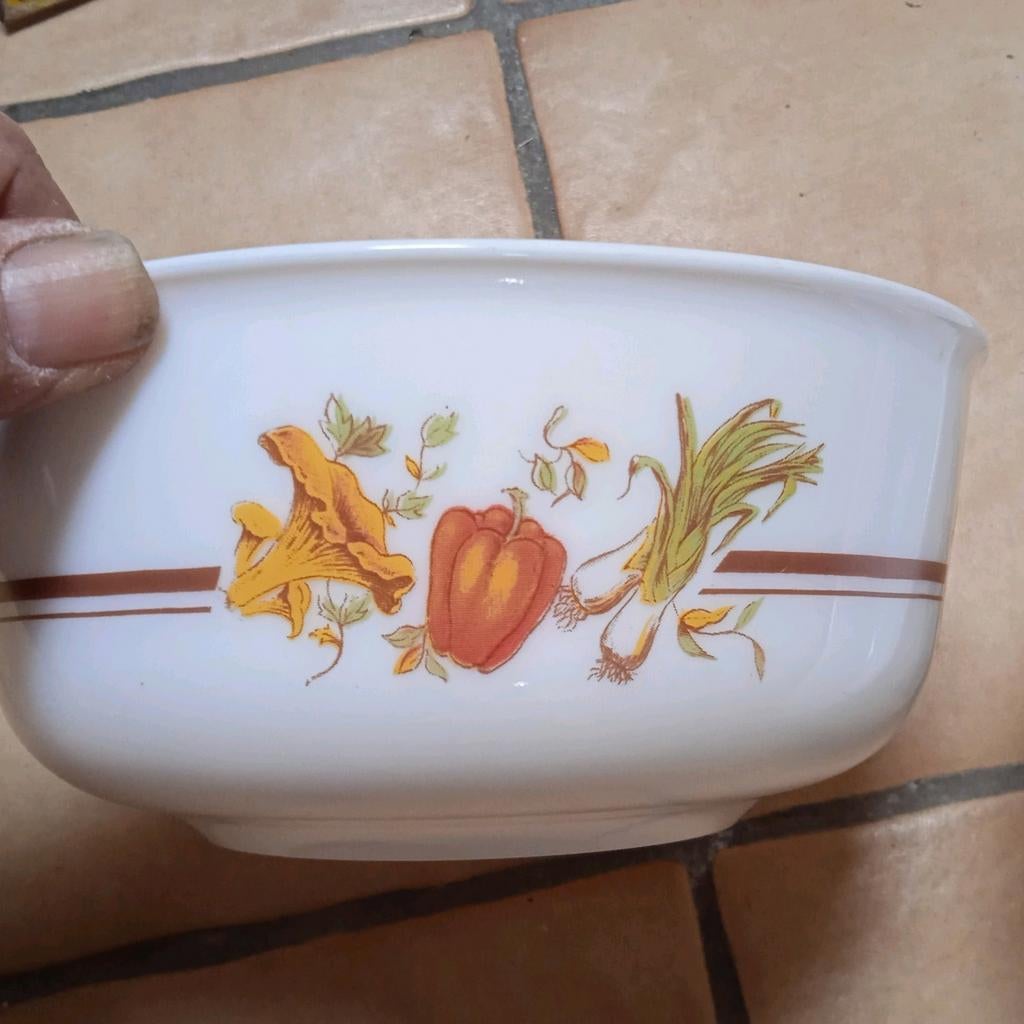 2 plateaux « Pot au feu » Arcopal, verre en pyrex/lait, rési, Antiquités & Art, Enlèvement ou Envoi
