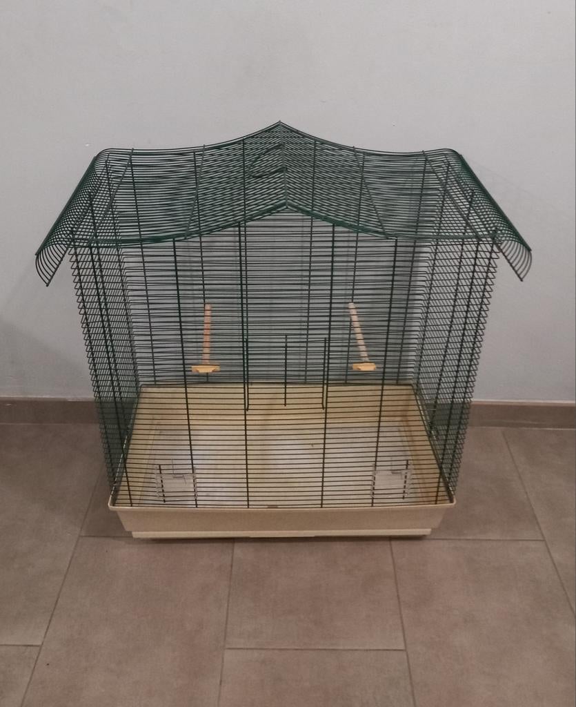 Grote.vogelkooi, Enlèvement
