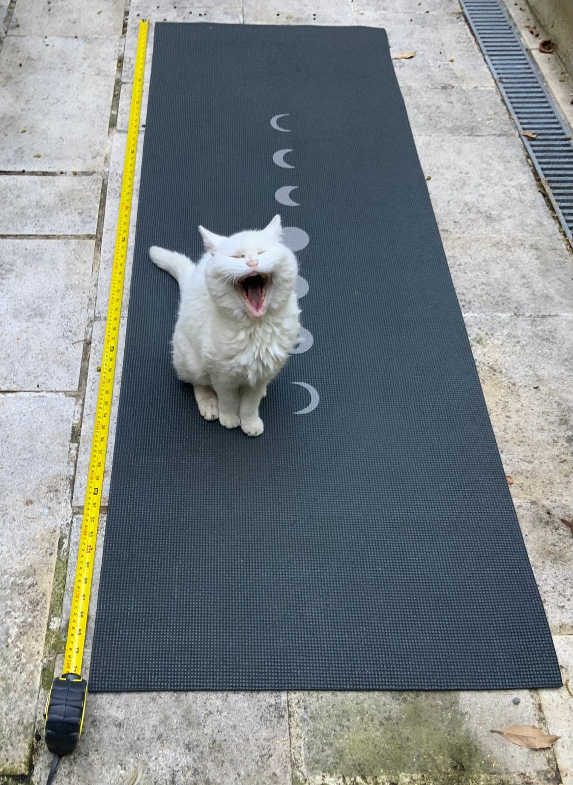 Tapis de yoga lune, Sport en Fitness, Yoga en Pilates, Ophalen, Gebruikt, Yogamat