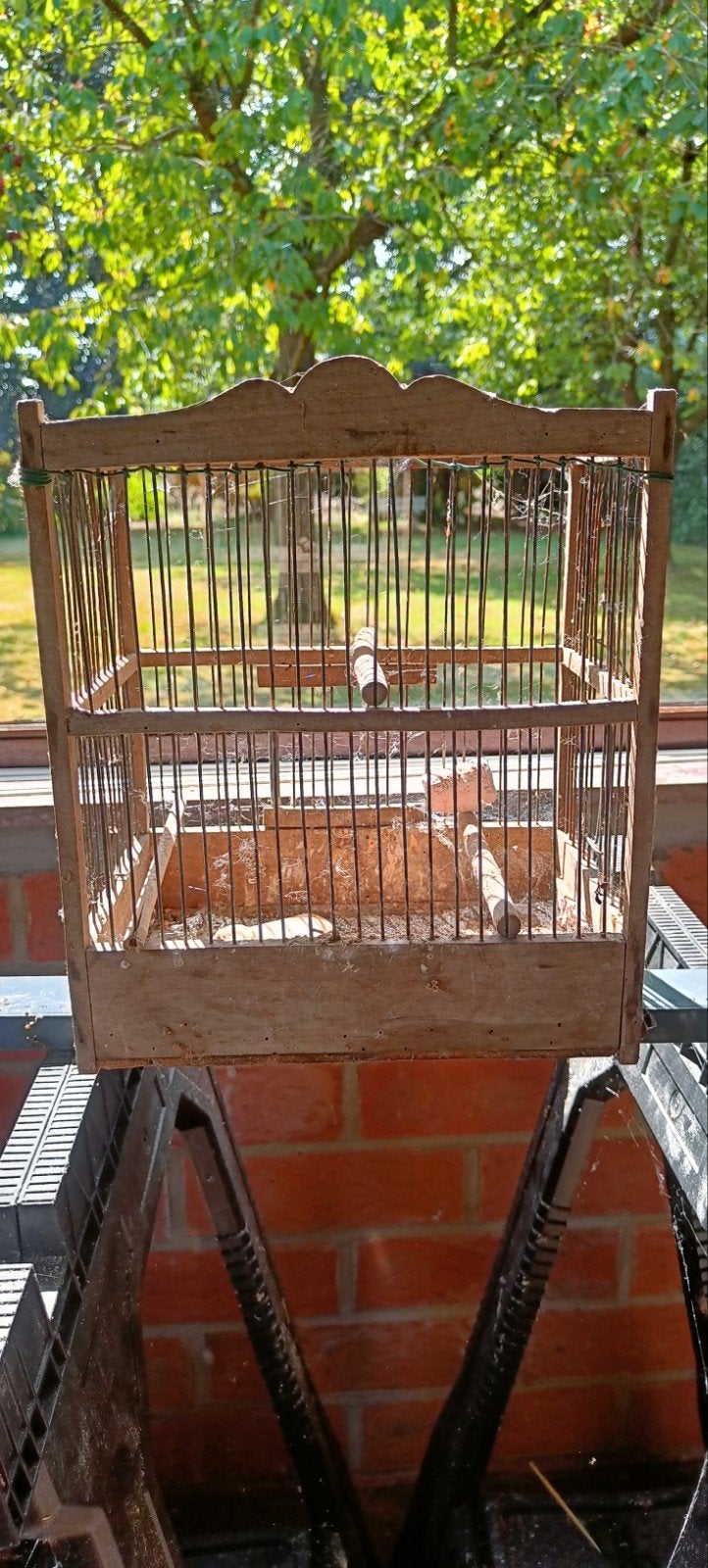 vogel kooien, Dieren en Toebehoren, Ophalen