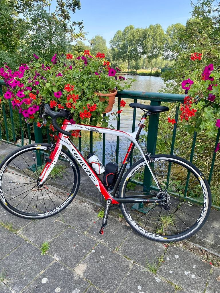 Koersfiets Willier GT Tristina grote maat, Ophalen of Verzenden, Zo goed als nieuw, Meer dan 20 versnellingen