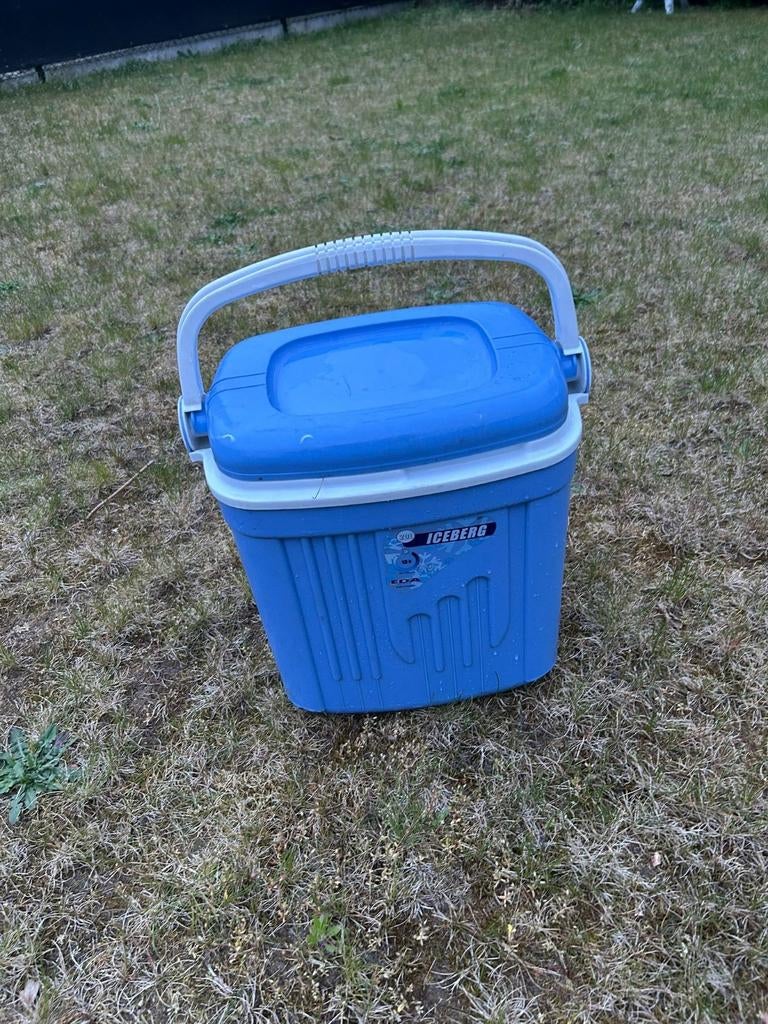 Elektrische koelbox, Caravans en Kamperen, Koelboxen, Ophalen, Koelbox