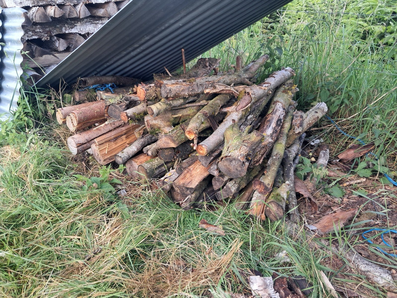 Bois de chauffage, Enlèvement, Bois