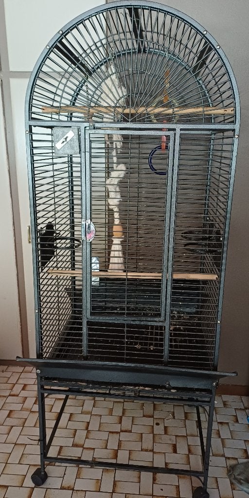 Vogelkooi, Dieren en Toebehoren, Overige Dieren-accessoires, Ophalen, Gebruikt