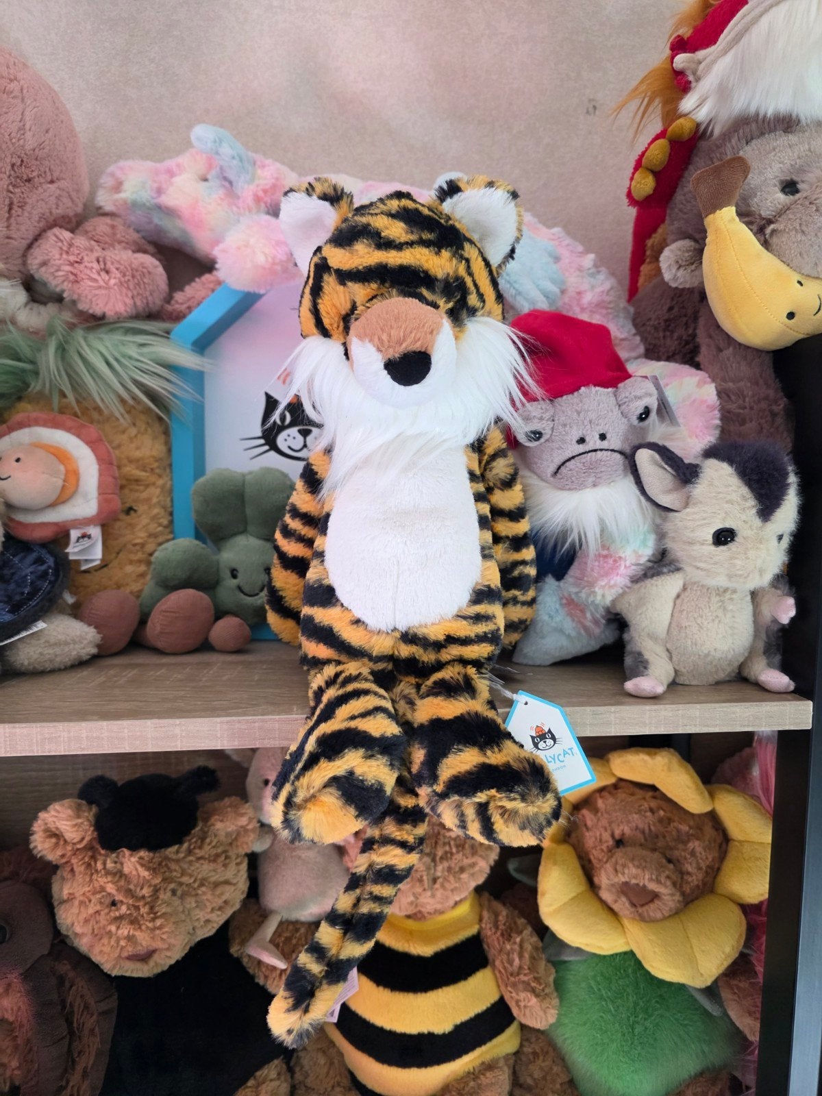 Jellycat, tigre moyennement timide, Enlèvement ou Envoi, Jellycat