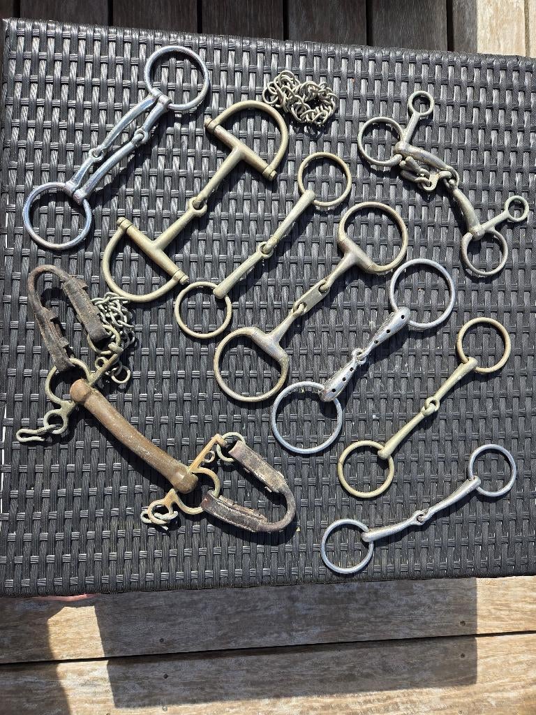 mors, bride, chaps, éperons, Animaux & Accessoires, Enlèvement, Utilisé, Obstacle
