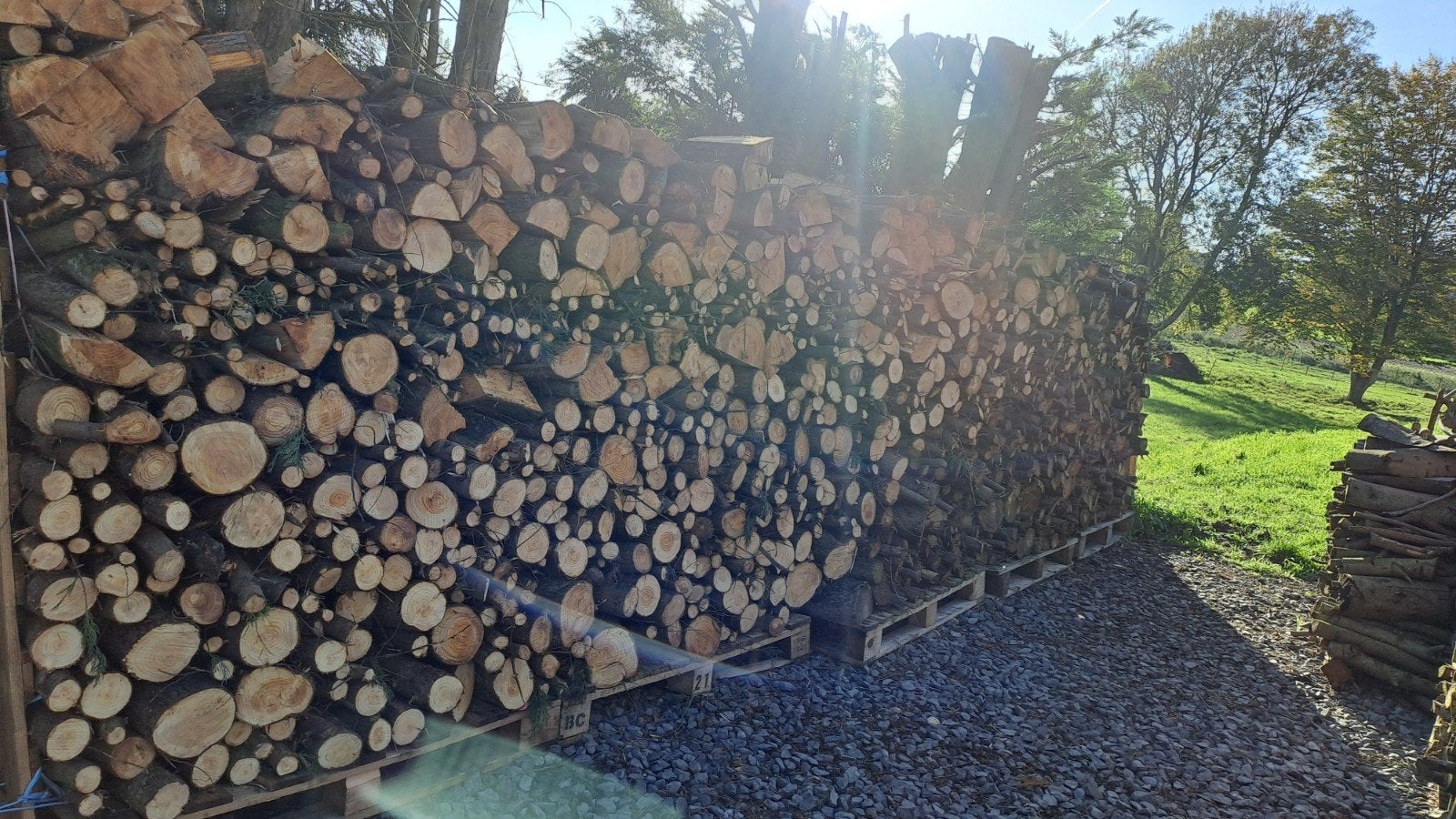 bois de sapin, 3 à 6 m³, Enlèvement, Autres essences de bois, Bûches