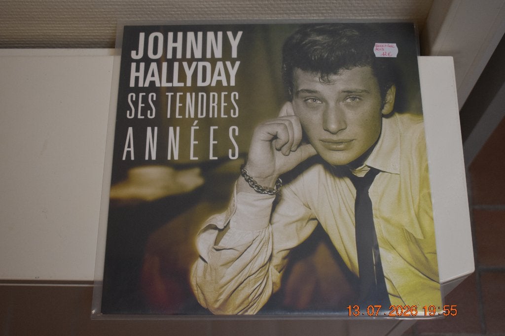 LP : Johnny Halliday - Ses tendres années (Rock 'n Roll), CD & DVD, Vinyles | Rock, LP, Enlèvement ou Envoi, Rock 'n' roll, Utilisé