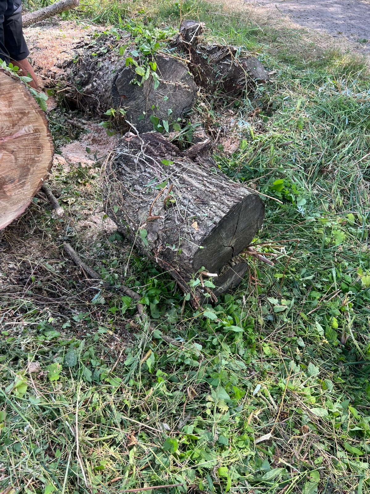 Wilg hout, Tuin en Terras, Ophalen