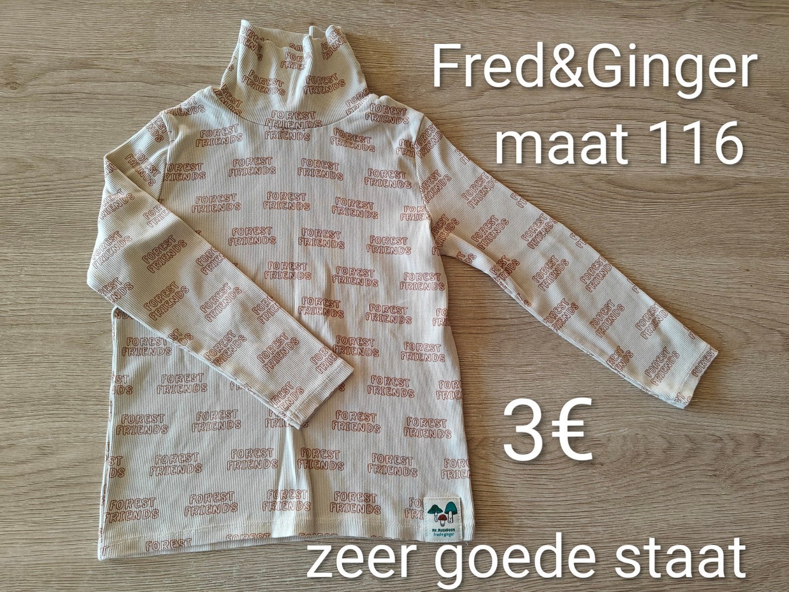 Longsleeve met rolkraag - Fred&Ginger - maat 116, Jongen of Meisje, Ophalen of Verzenden, Zo goed als nieuw, Fred&Ginger