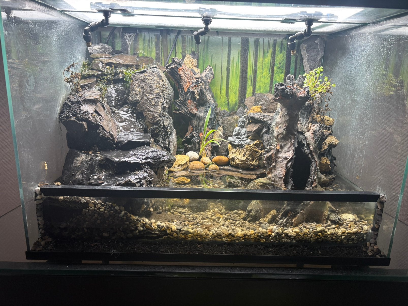 paludarium, Ophalen, Gebruikt