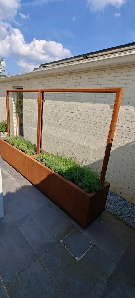Cortenstaal windscherm beplant met lavendel, Neuf, Enlèvement, 100 cm ou plus, 60 cm ou plus