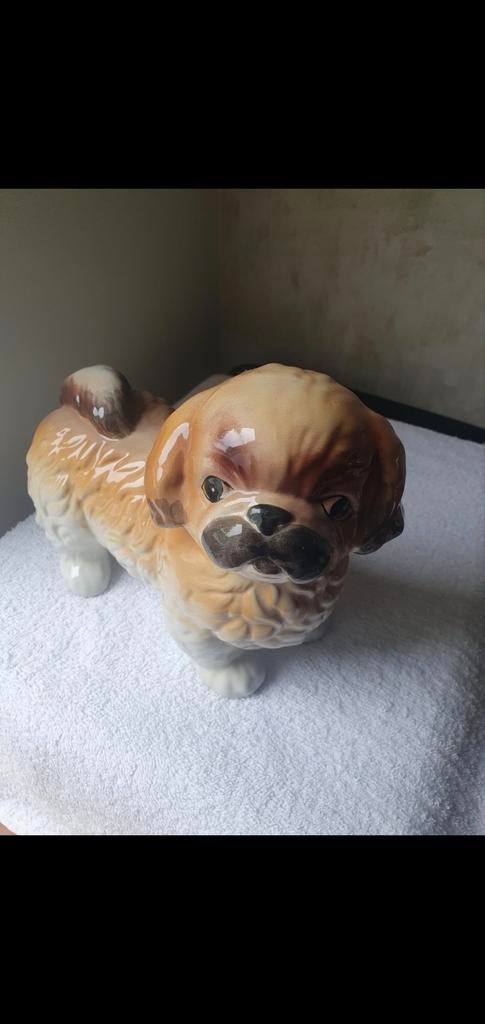 Deco: hondje in porselein, Enlèvement