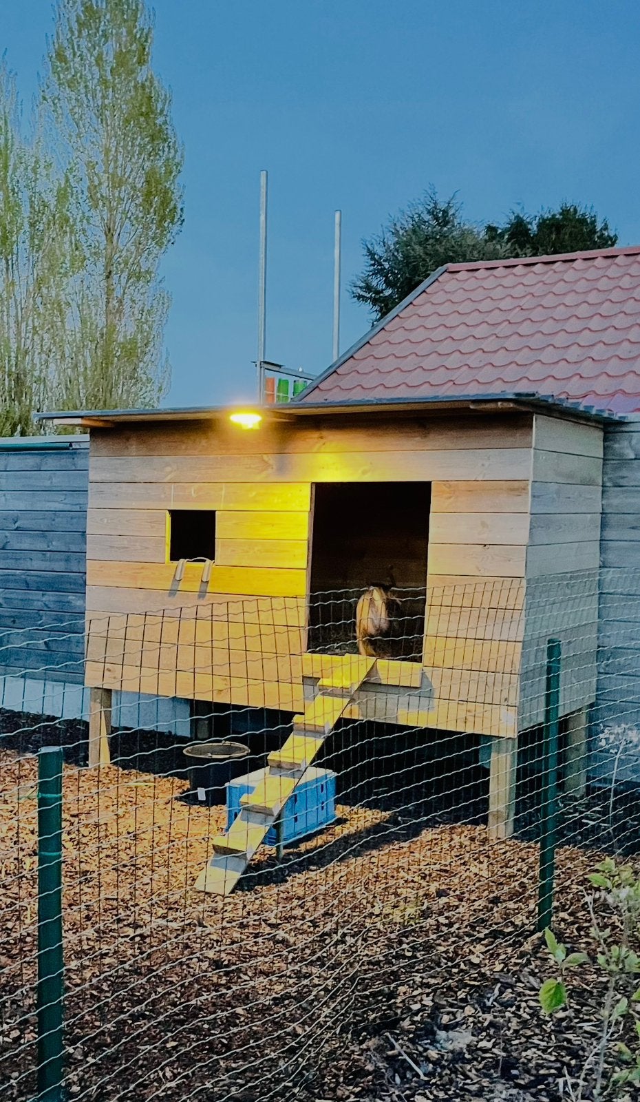 Geiten huisje / voor kleine boerderij dieren, Dieren en Toebehoren, Schapen, Geiten en Varkens