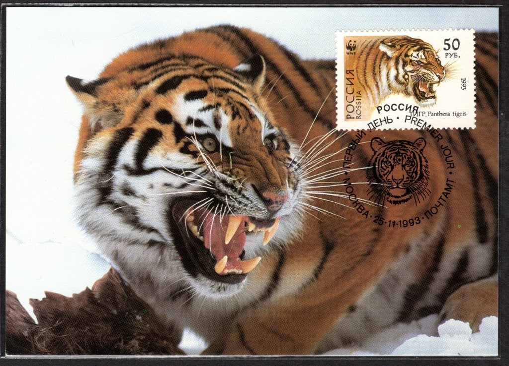 RUSLAND Yt. 6029 FDC WWF 1993, Postzegels en Munten, Verzenden, Overige landen, Gestempeld
