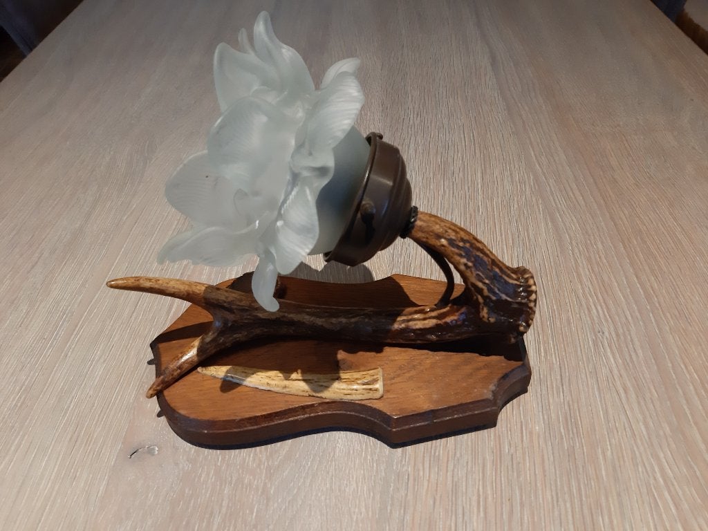 Wandlampje met hertengewei, Ophalen, Zo goed als nieuw, Wandlamp