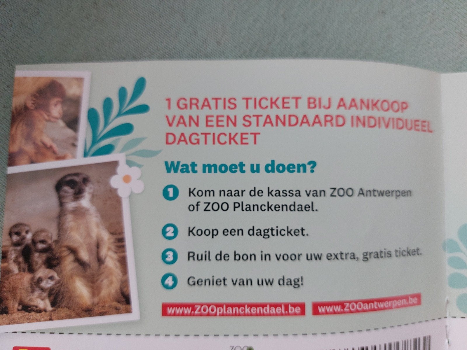 Ticket Zoo/ Planckendael
