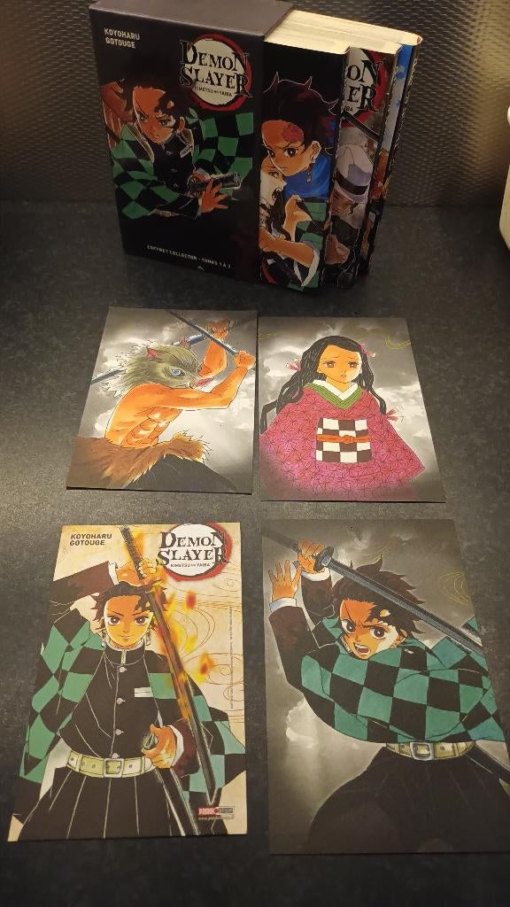 Demon slayer, Livres, Enlèvement, Comme neuf