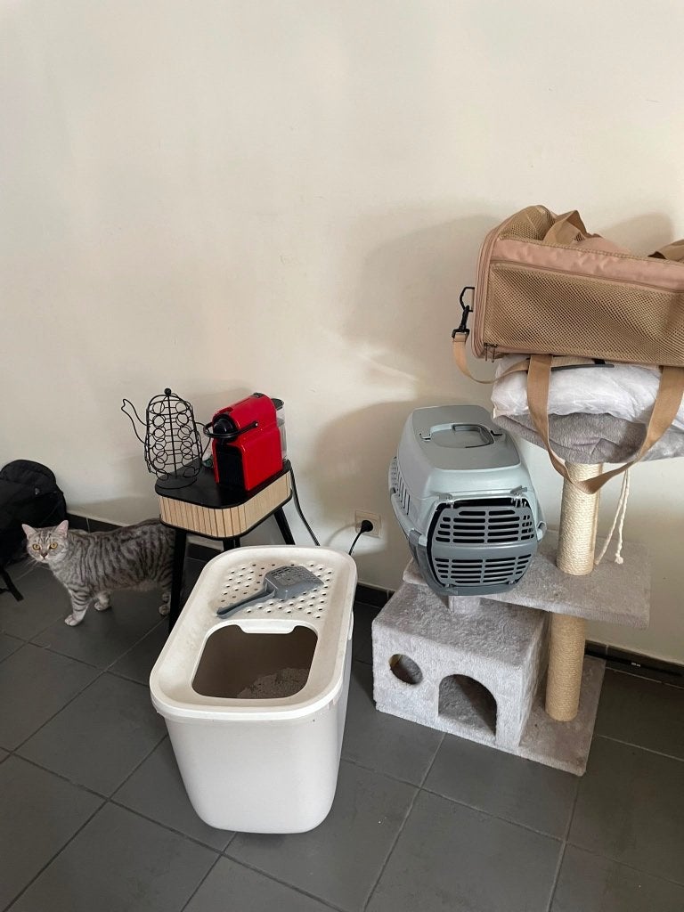 Krappaal - kattenbak - vervoertas, Dieren en Toebehoren, Ophalen, Zo goed als nieuw