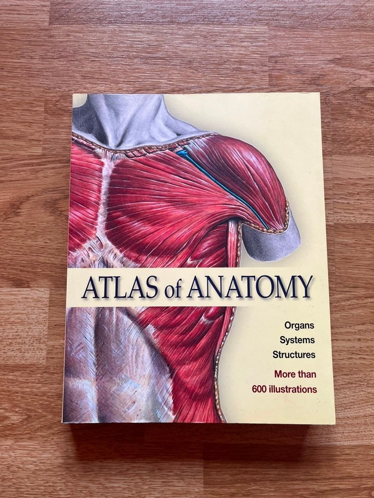 Atlas of Anatomy (Organs, System, Structures) - H.F. Ullmann, Ophalen, Zo goed als nieuw