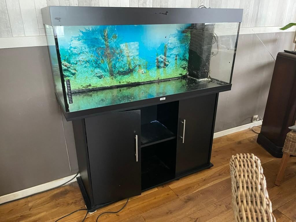Aquarium, Dieren en Toebehoren, Ophalen, Gebruikt, Leeg aquarium, Verwarming