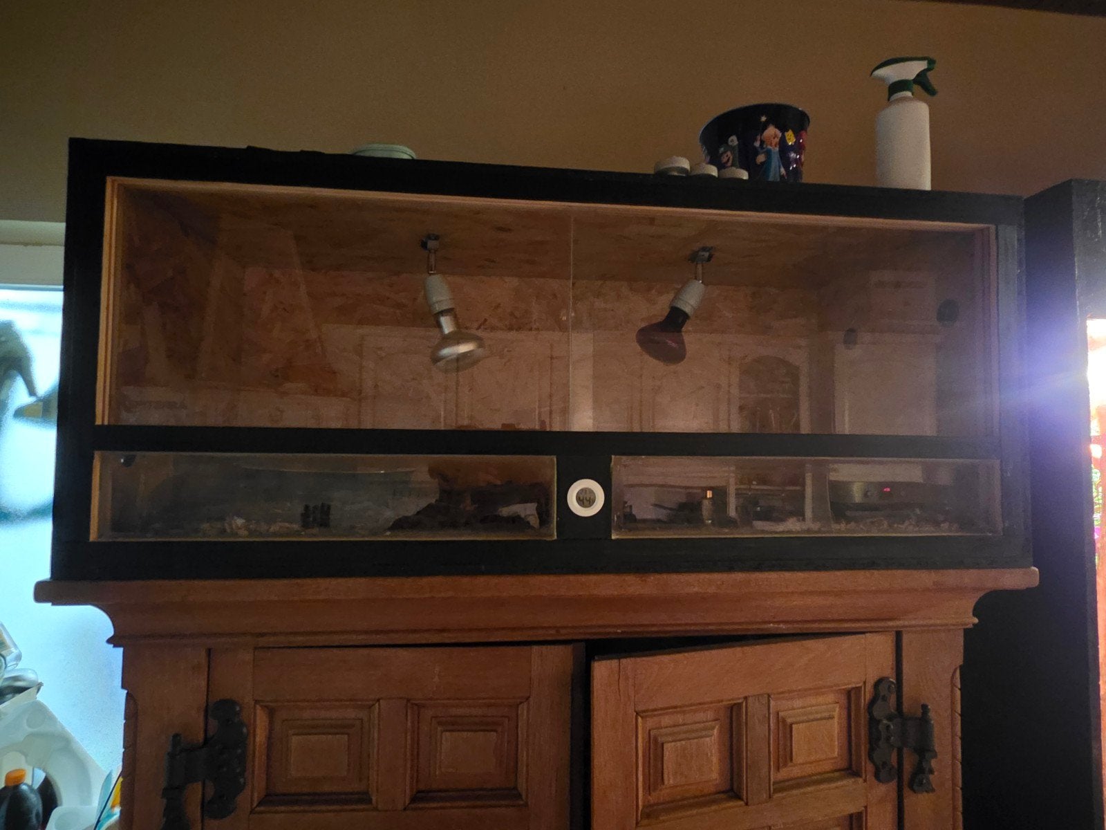 osb terrarium 120 x 50 x 50, Dieren en Toebehoren, Ophalen of Verzenden