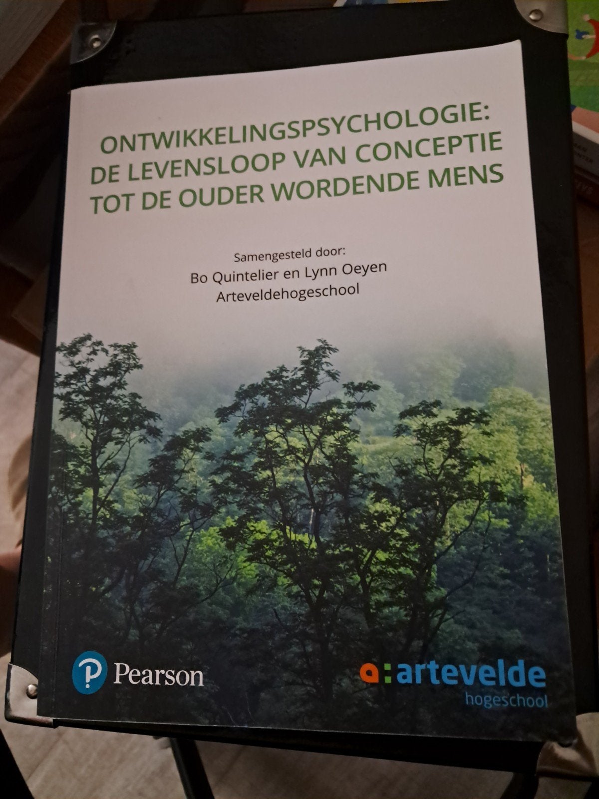 Ontwikkelingspsychologie: de levensloop van conceptie tot de, Boeken, Ophalen of Verzenden, Ontwikkelingspsychologie