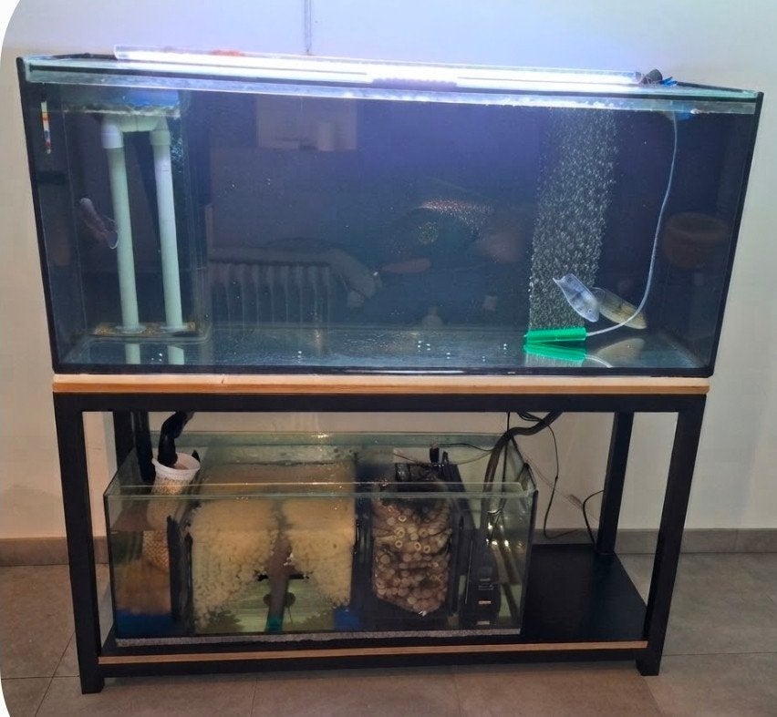 Aquarium complet 130 x 40 x 55 cm avec filtre biologique, Animaux & Accessoires, Poissons | Aquariums & Accessoires, Enlèvement