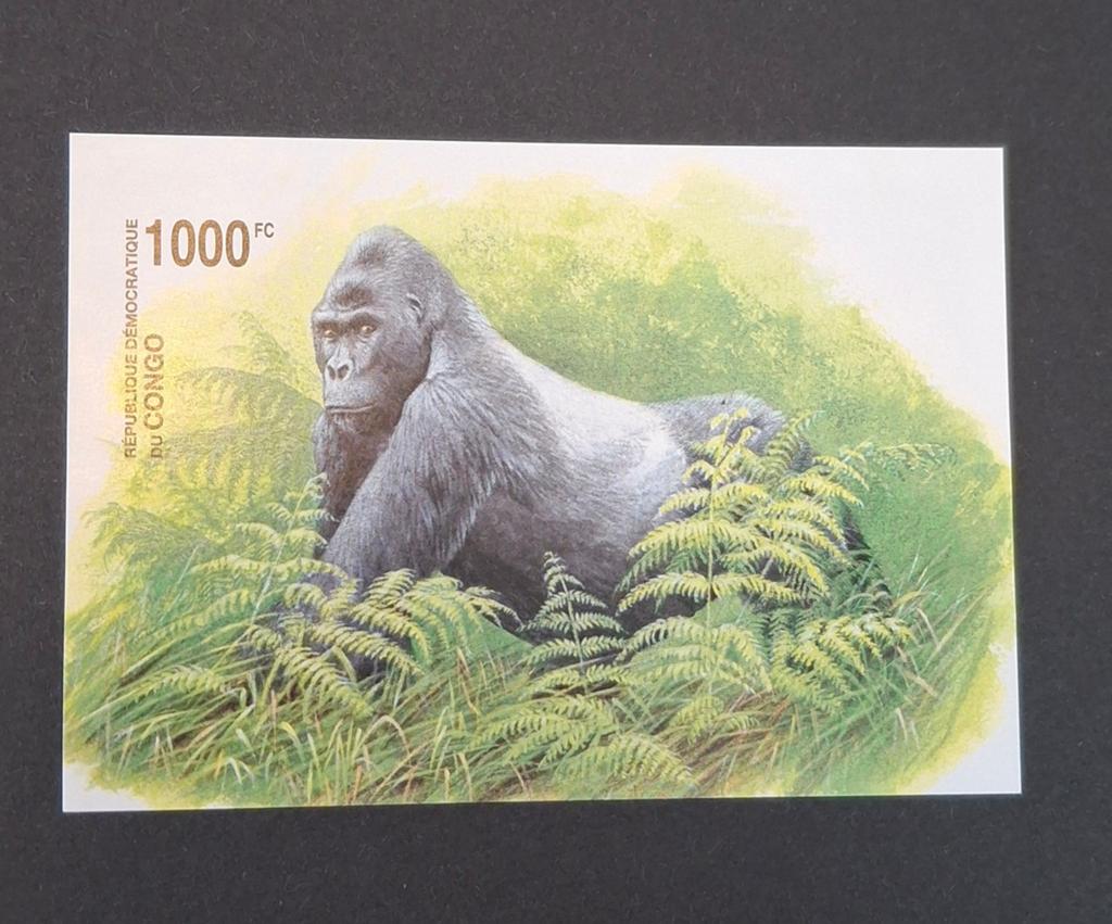 Bl207  ongetand ( du Congo) auteur André  Buzin, Postzegels en Munten, Postzegels | Europa | Overig, Ophalen of Verzenden