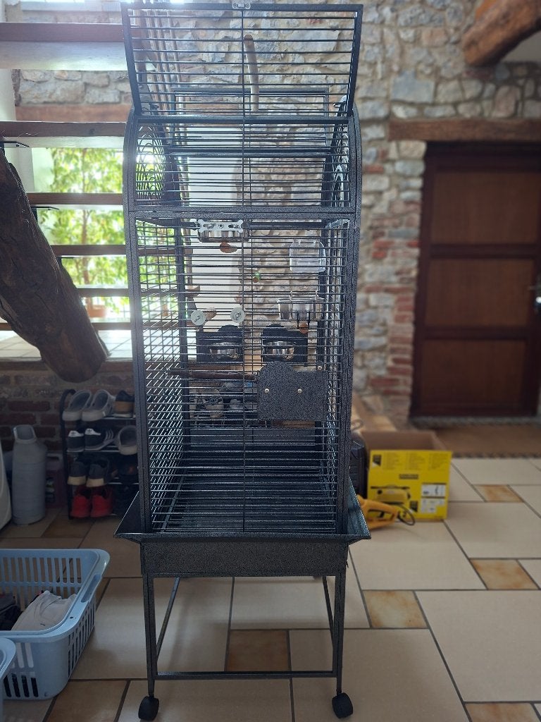 Cage volière perroquets conures perruches, Animaux & Accessoires, Oiseaux | Cages & Volières, Enlèvement, Comme neuf, Métal, Volière