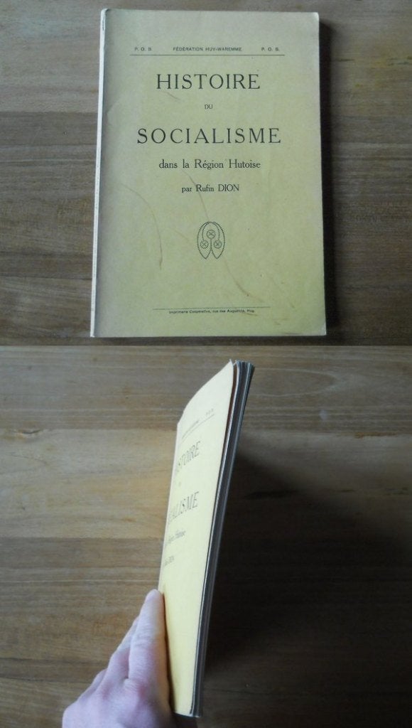Histoire du Socialisme dans la Région Hutoise (R. Dion) Huy, Boeken, Ophalen of Verzenden, Gelezen