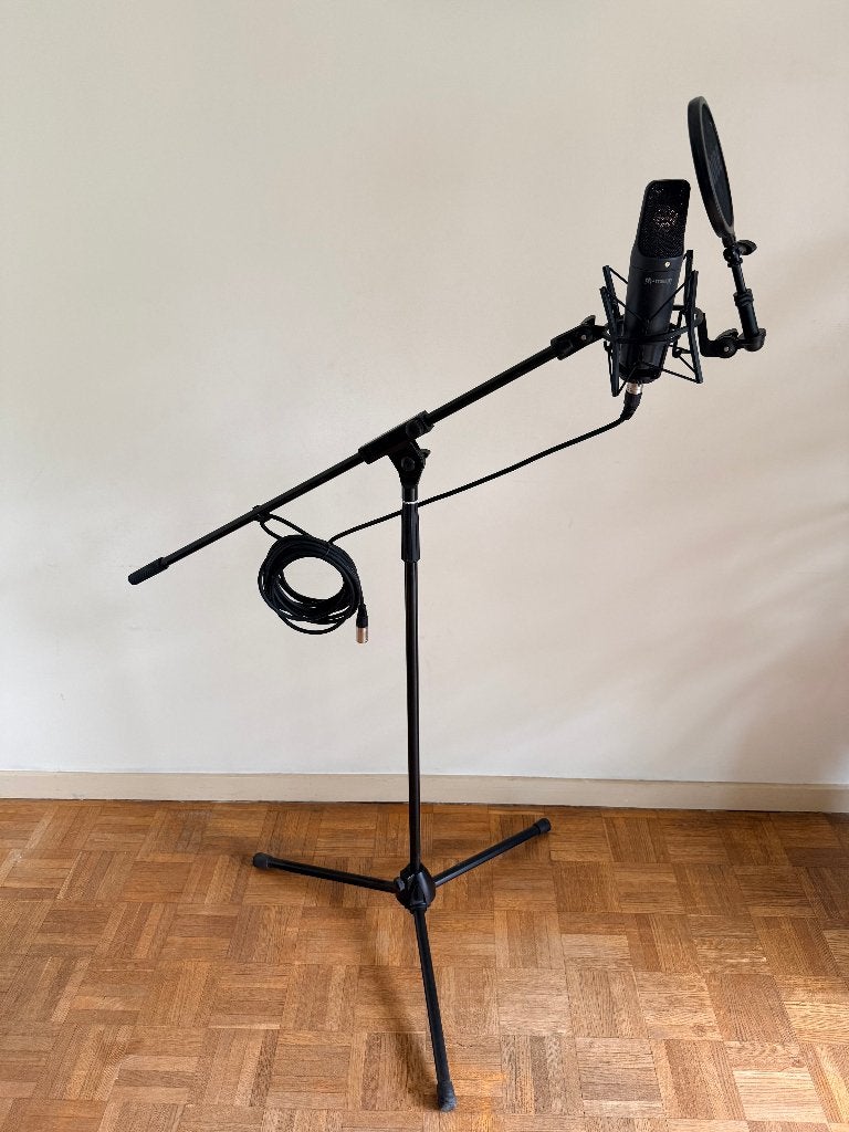 Microphone rouge - Édition NT1000/Thomann, Musique & Instruments, Microphones, Utilisé, Micro studio, Enlèvement