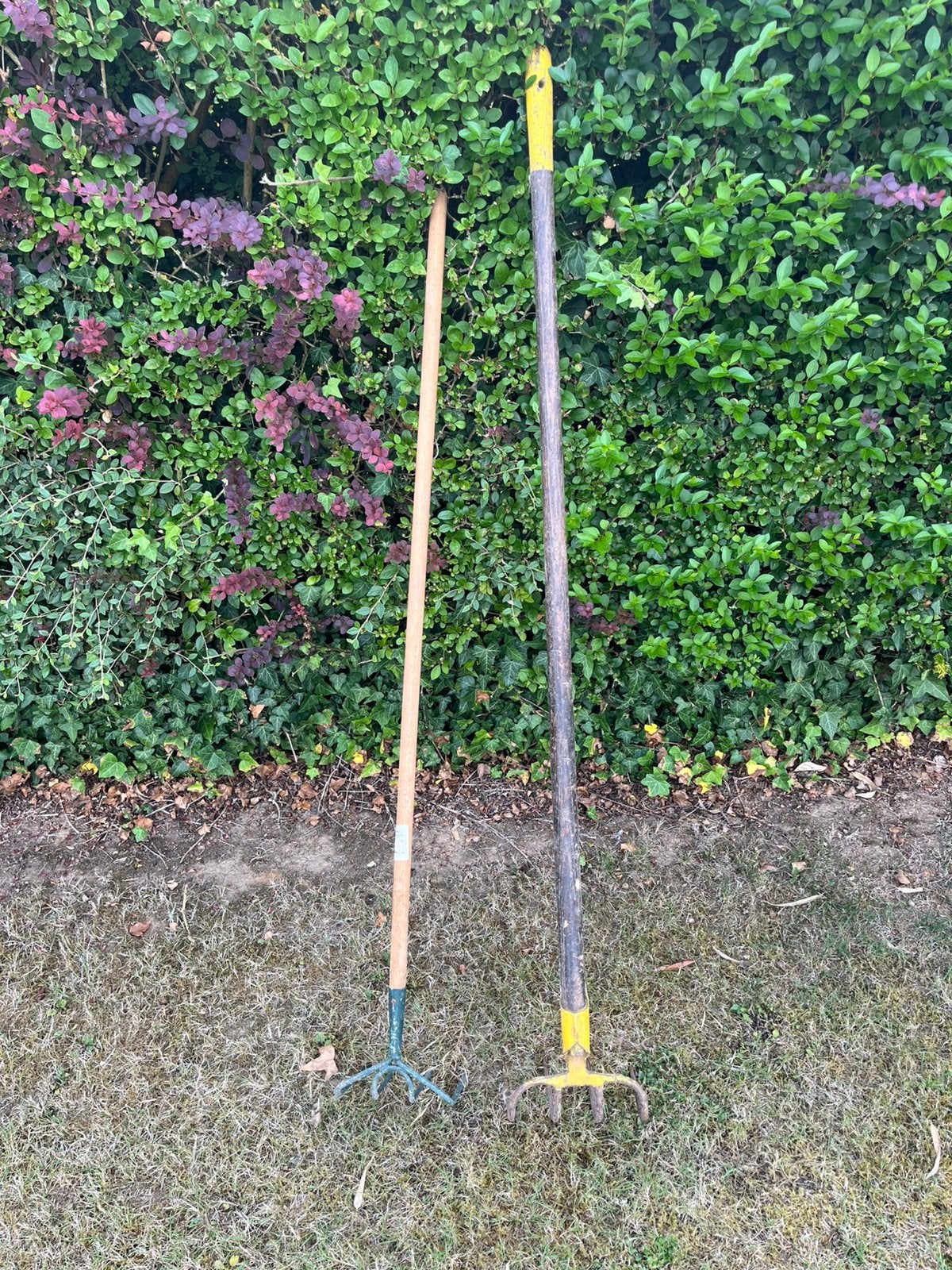2 houes, Jardin & Terrasse, Outils à main, Enlèvement, Comme neuf, Houe