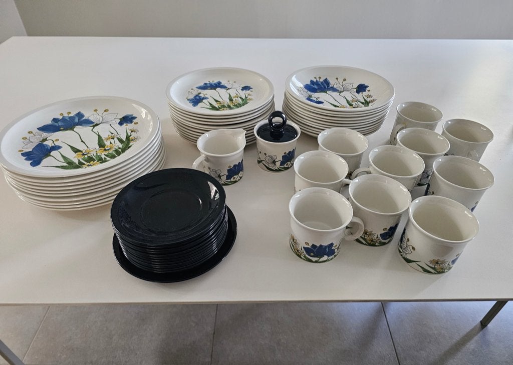 servies, Ophalen, Overige merken, Landelijk/Boerenbont, Zo goed als nieuw